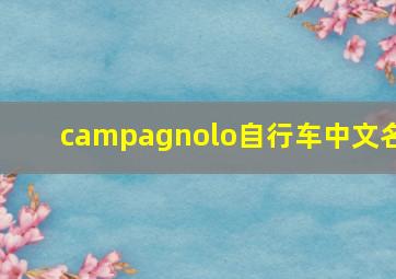 campagnolo自行车中文名