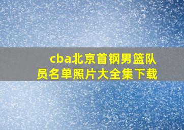 cba北京首钢男篮队员名单照片大全集下载