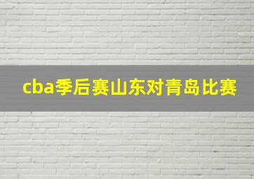 cba季后赛山东对青岛比赛