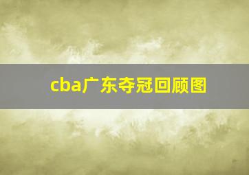 cba广东夺冠回顾图