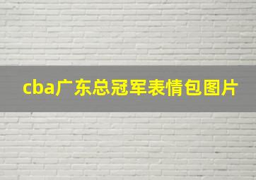 cba广东总冠军表情包图片