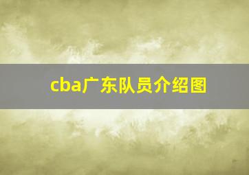 cba广东队员介绍图