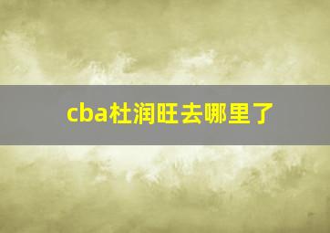 cba杜润旺去哪里了