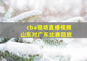 cba现场直播视频山东对广东比赛回放