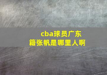 cba球员广东籍张帆是哪里人啊