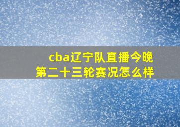 cba辽宁队直播今晚第二十三轮赛况怎么样