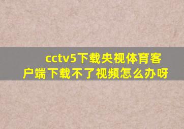 cctv5下载央视体育客户端下载不了视频怎么办呀