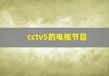 cctv5的电视节目