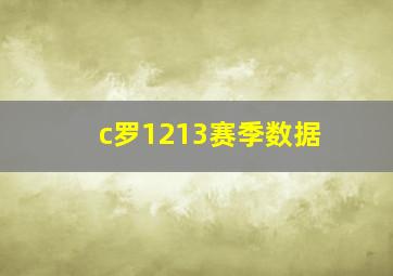 c罗1213赛季数据