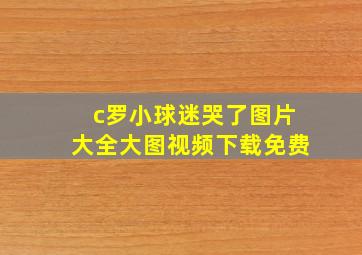 c罗小球迷哭了图片大全大图视频下载免费