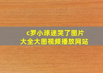 c罗小球迷哭了图片大全大图视频播放网站