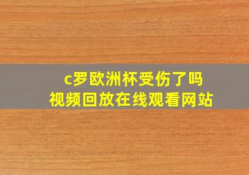 c罗欧洲杯受伤了吗视频回放在线观看网站