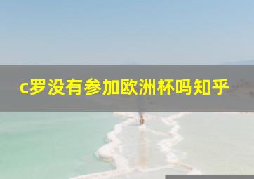 c罗没有参加欧洲杯吗知乎