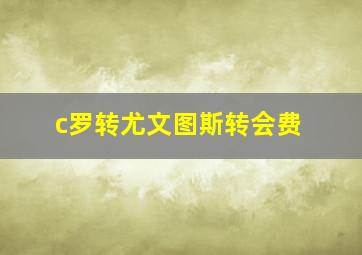 c罗转尤文图斯转会费