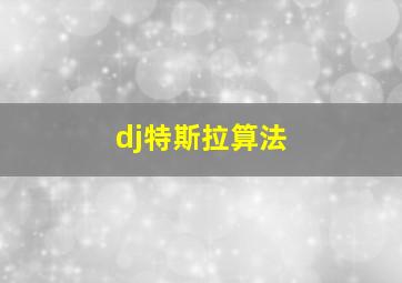 dj特斯拉算法