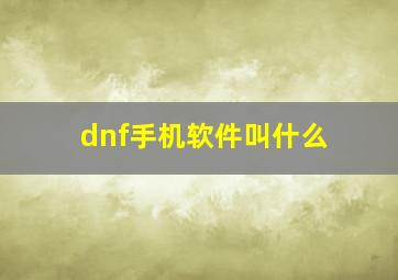 dnf手机软件叫什么