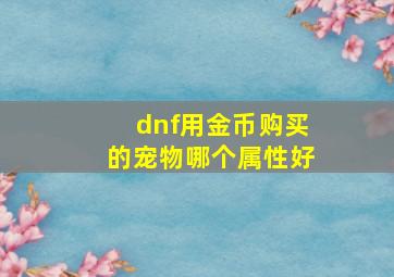 dnf用金币购买的宠物哪个属性好