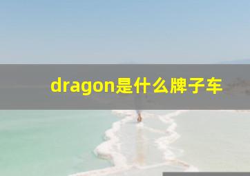 dragon是什么牌子车