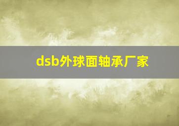 dsb外球面轴承厂家