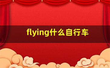 flying什么自行车