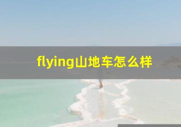 flying山地车怎么样