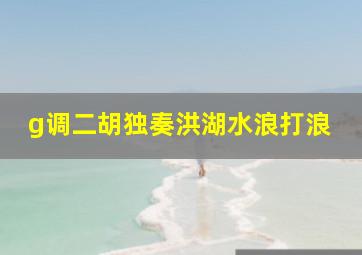 g调二胡独奏洪湖水浪打浪