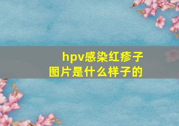 hpv感染红疹子图片是什么样子的