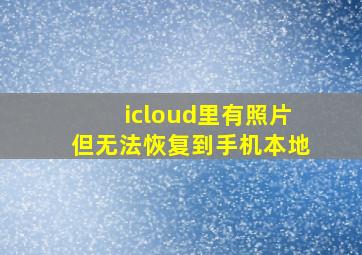 icloud里有照片但无法恢复到手机本地