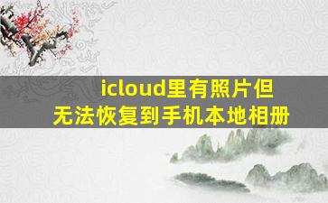 icloud里有照片但无法恢复到手机本地相册