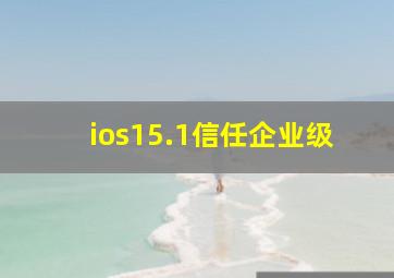 ios15.1信任企业级