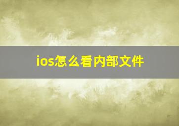 ios怎么看内部文件