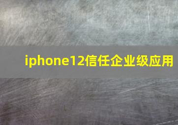 iphone12信任企业级应用