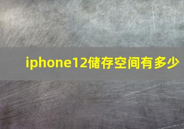 iphone12储存空间有多少