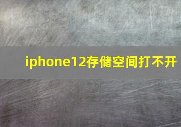 iphone12存储空间打不开