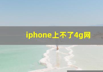 iphone上不了4g网