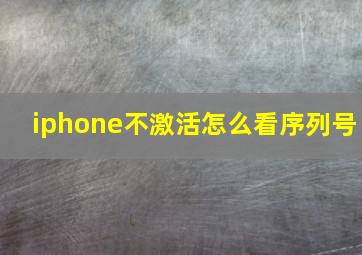 iphone不激活怎么看序列号