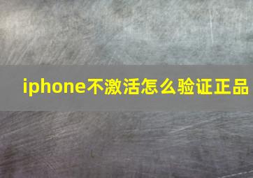 iphone不激活怎么验证正品