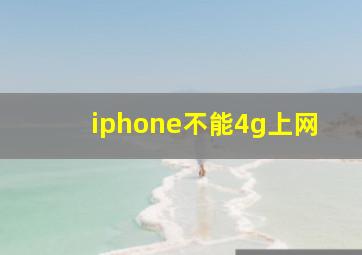 iphone不能4g上网