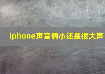 iphone声音调小还是很大声