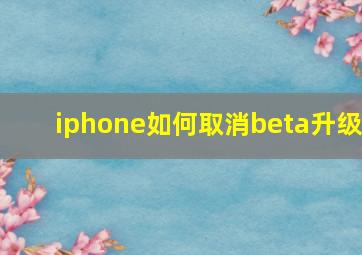 iphone如何取消beta升级