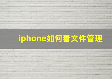 iphone如何看文件管理