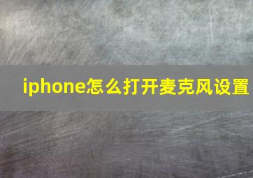 iphone怎么打开麦克风设置