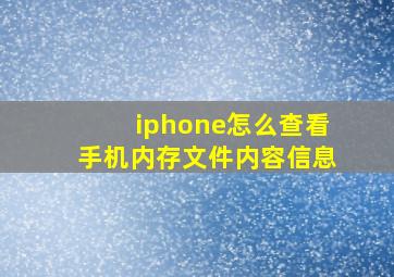 iphone怎么查看手机内存文件内容信息