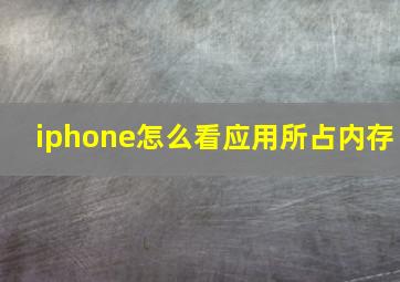 iphone怎么看应用所占内存