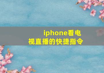 iphone看电视直播的快捷指令