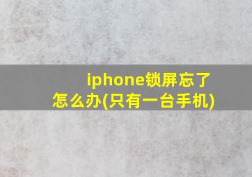 iphone锁屏忘了怎么办(只有一台手机)