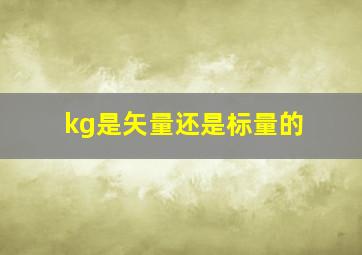 kg是矢量还是标量的