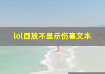 lol回放不显示伤害文本