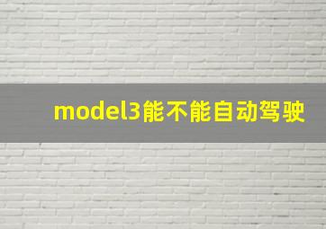 model3能不能自动驾驶