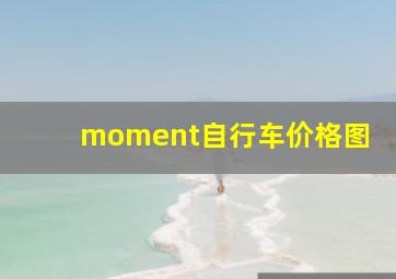 moment自行车价格图